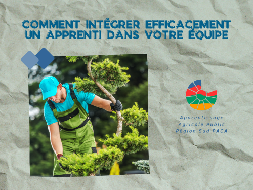 intégrer efficacement un apprenti en entreprise