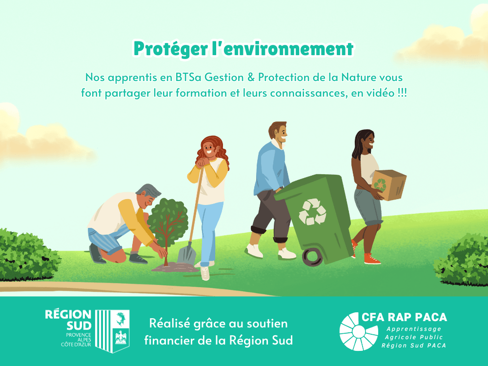 La protection de l&#039;environnement par nos apprentis !