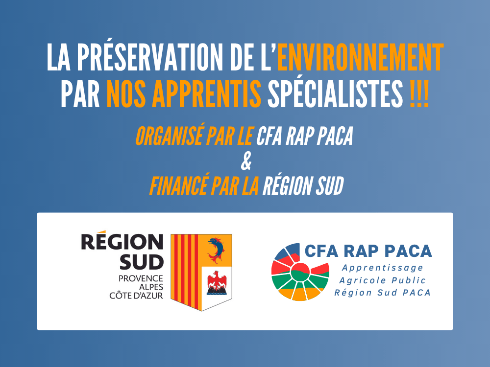 Nos apprentis s&#039;engagent dans la préservation de l&#039;environnement