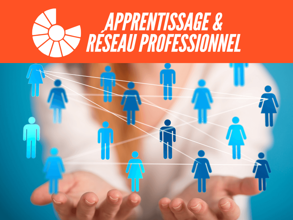L'apprentissage et le développement d'un réseau professionnel