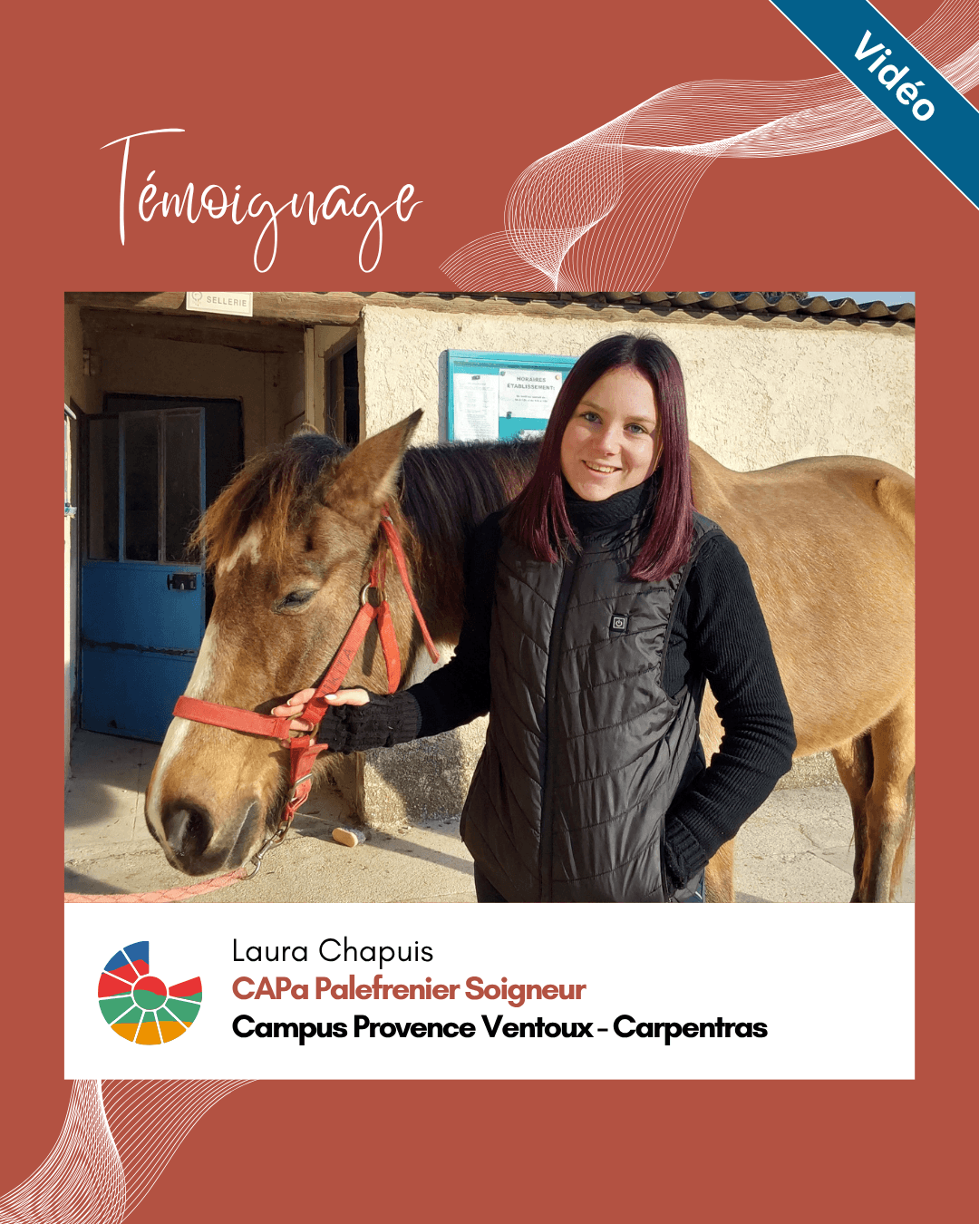 Laura nous parle du CAPa PS (Palefrenier Soigneur) Campus de Carpentras