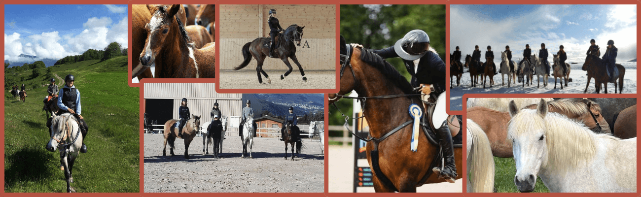 Activités Equestres