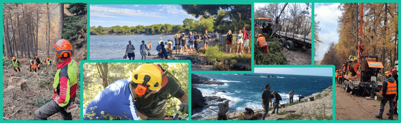 Environnement – Forêt