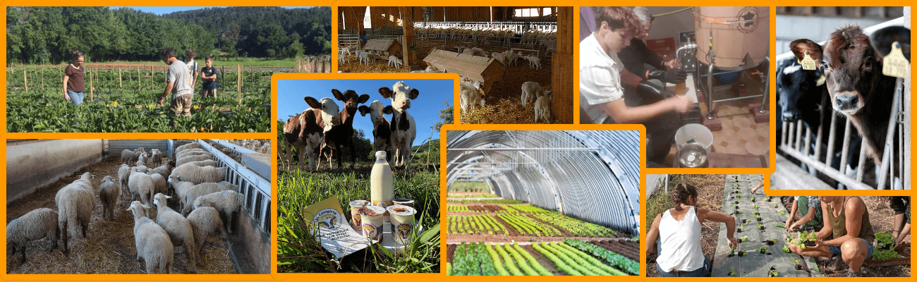 CAPa Métiers de l'Agriculture