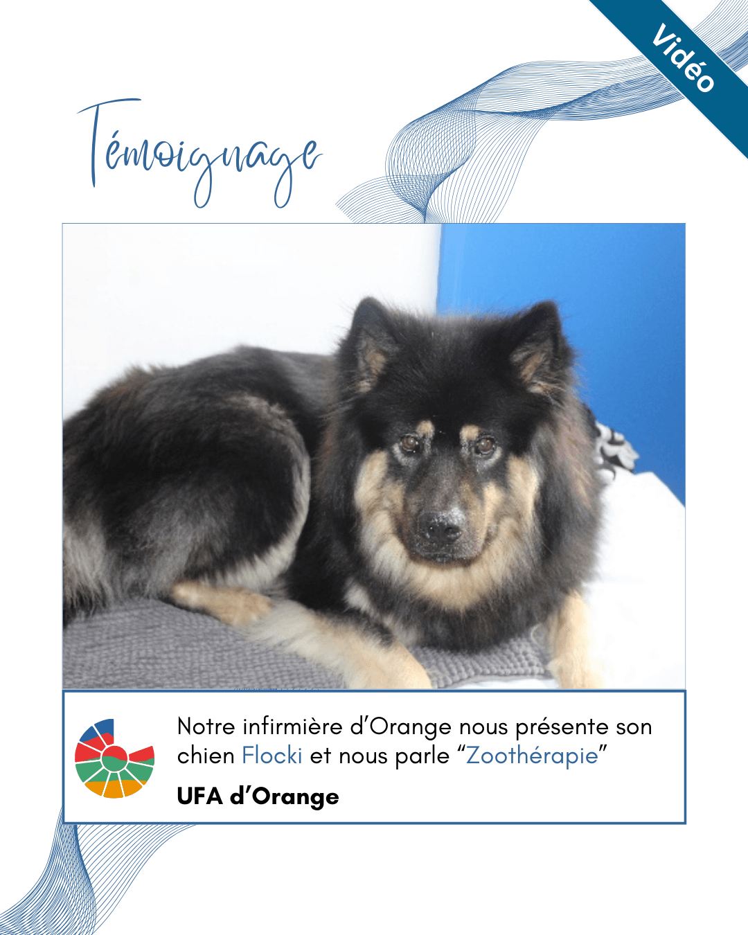 zoothérapie apprentissage agricole