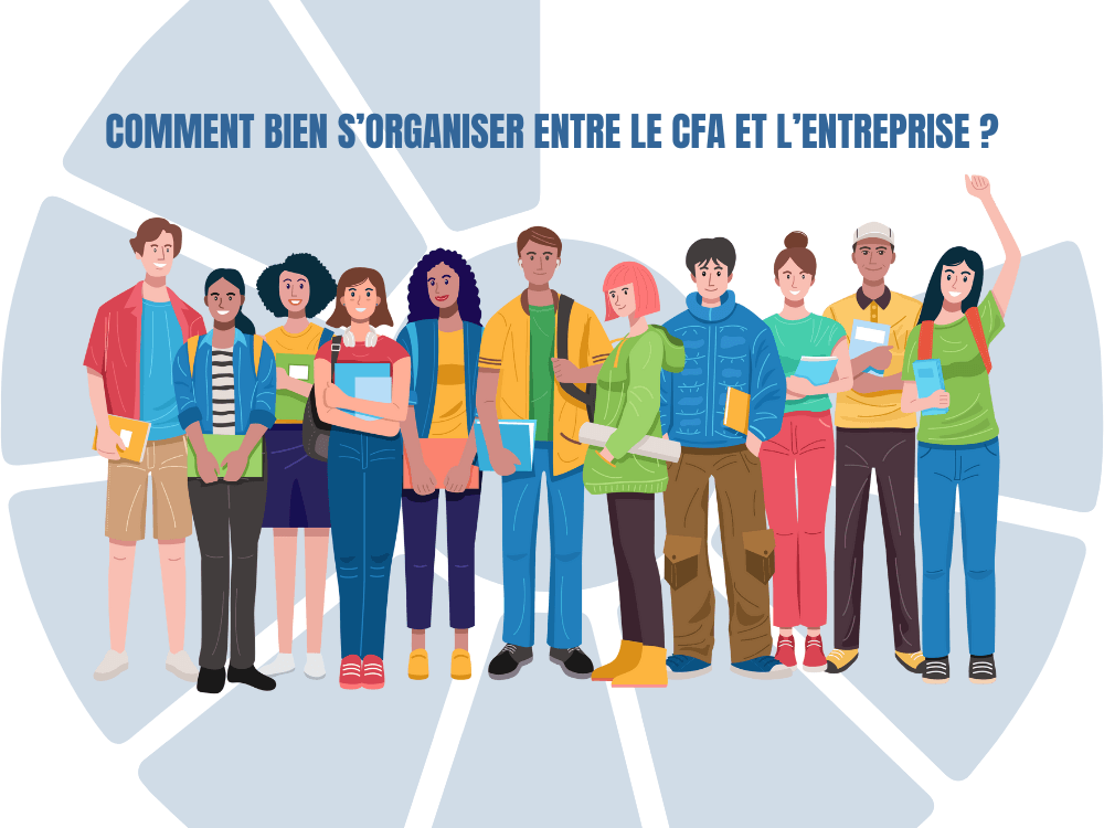 Comment bien s’organiser entre le CFA et l’entreprise ?