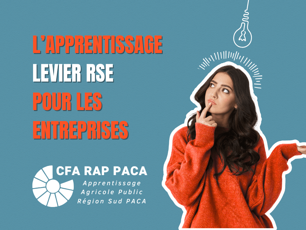 L’apprentissage, levier de RSE pour les entreprises