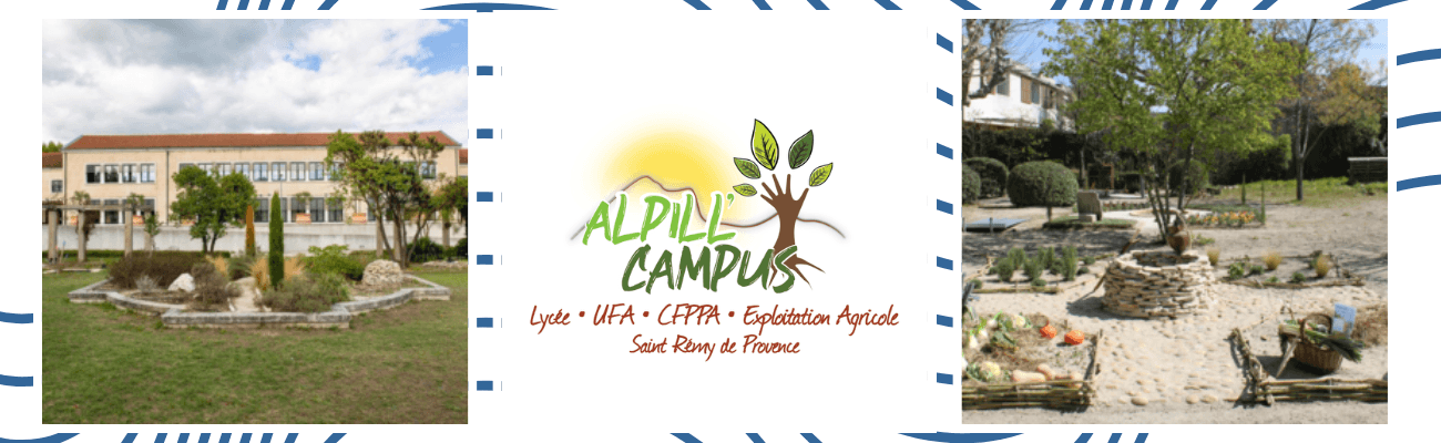 St-Rémy-de-Provence