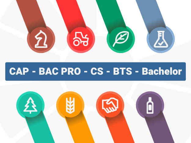 Formations agricoles par apprentissage